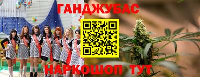 сатива Кунгур