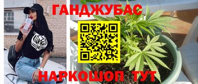 сатива Кунгур