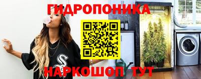 сатива Кунгур