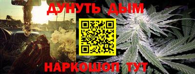 сатива Кунгур